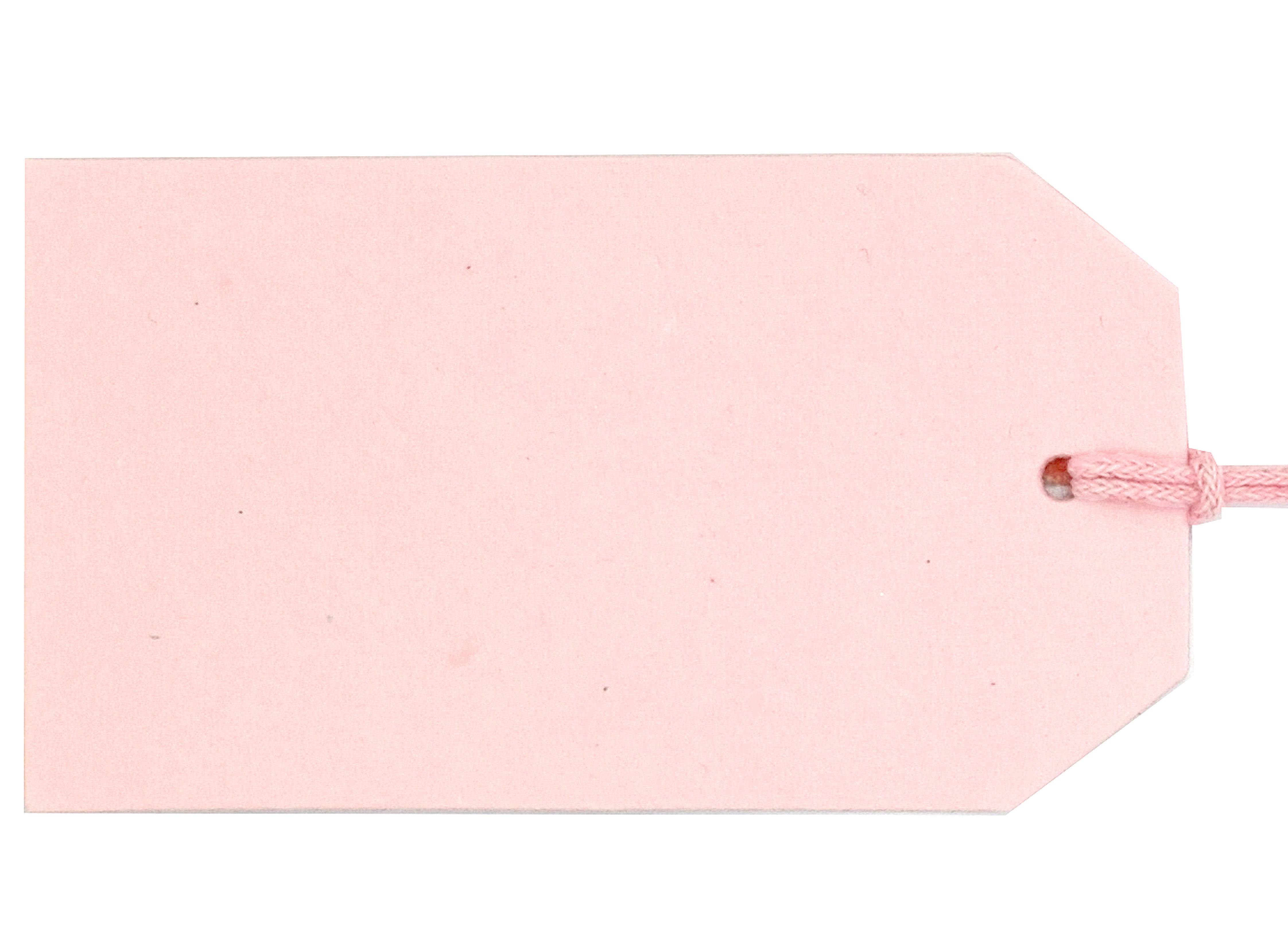 Baby pink luggage tag from Love Vivid with vivid design, featuring a soft pink strap and clear identification window.
